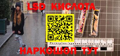 дживик Берёзовский