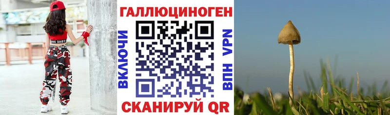 Галлюциногенные грибы Cubensis где купить наркоту Унеча
