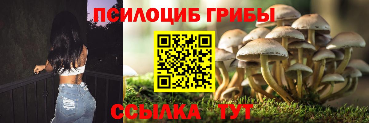 Псилоцибиновые грибы Psilocybine cubensis  Псилоцибиновые грибы Psilocybine cubensis  Унеча  Вход с VPN 